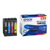 Epson Genuine Ink Cartridge Card Case IB10CL4A 4 Color Pack