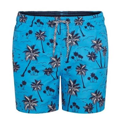 RIPT Essentials Boys Palm Tree Swim Shorts
