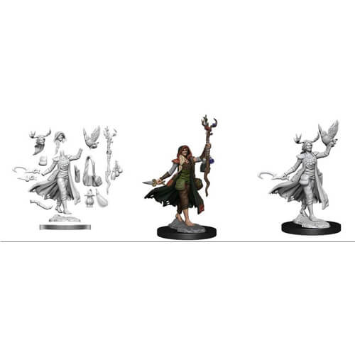 D&D Frameworks Miniature Model Kit (Human Druid F)
