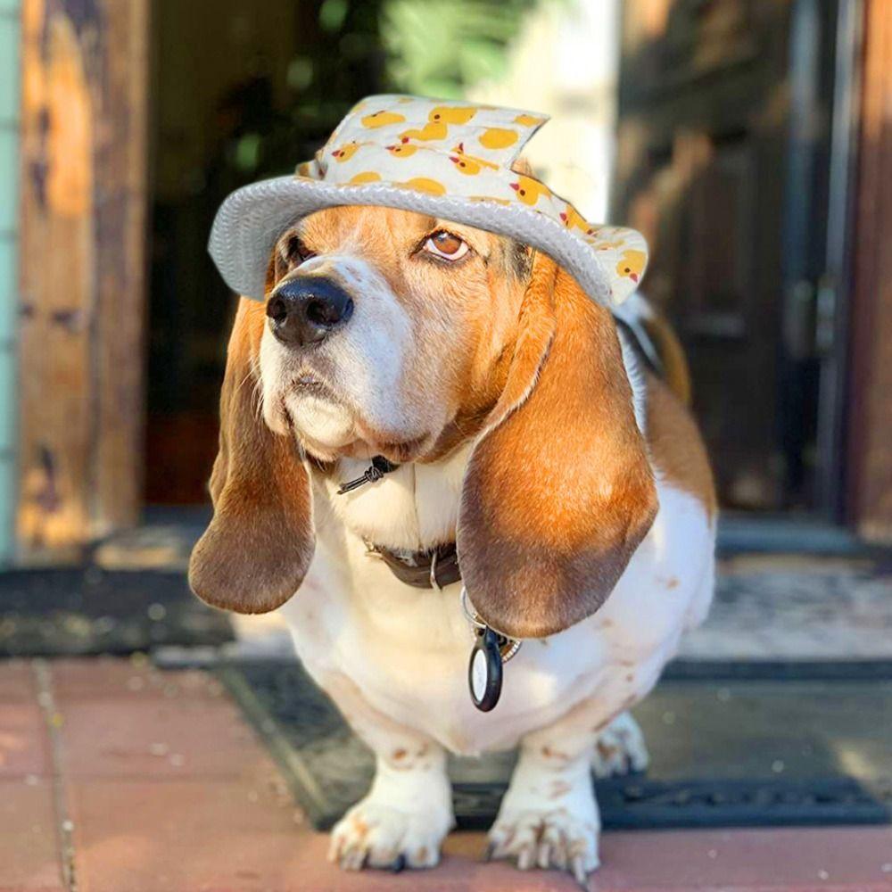 Verstellbare Hunde-Sonnenhüte Cartoon Haustier-Sonnenhut Haustier-Outdoor-Hut Hunde-Fischerhut Reise