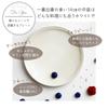 Aito Aito Seisakusho Plate Medium Dish White Mino Ware Dishwasher Microwave Safe Made in Japan 520103 "Ciel Ciel" 14.5cm