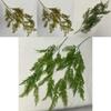 Artificial Soft Rubber Vine Greenery Wall Decor For Home Staging Photography