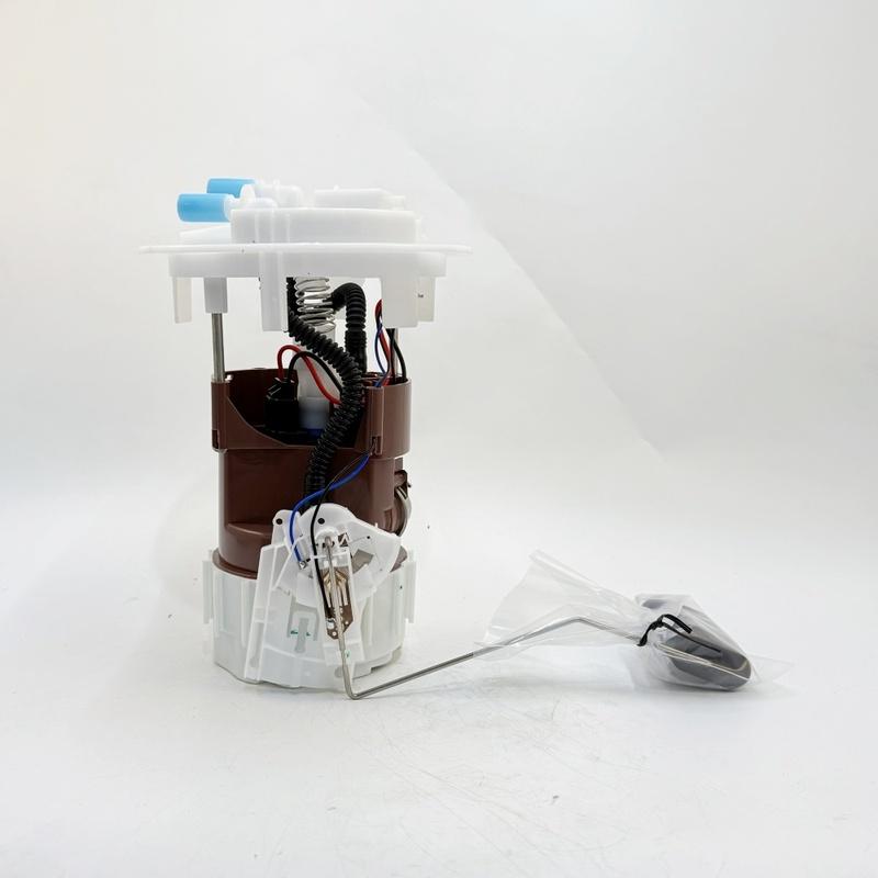 

9674467780 702552520 Fuel Pump Assembly For Peugeot Citroen
