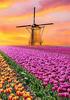 Ob_L_161 Diamond Painting 30X40 - Natura, Pole Tulipanow