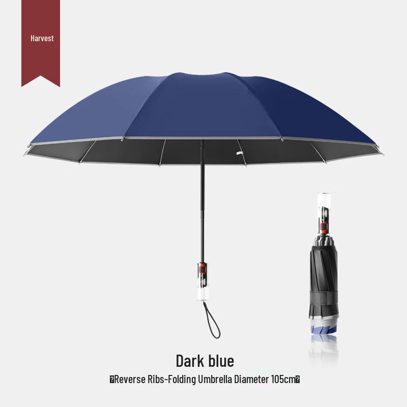 Automatic Reverse Folding 10-Rib Umbrella