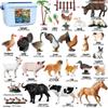 Realistic Animal Heart Model Toy: Lemur, Raccoon, Orangutan, Baboon