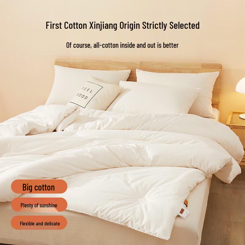 Beyond Nuan Chu Antibacterial Fiber Quilt with 100% Cotton Cover