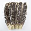 10Pcs/Lot Real Natural Turkey Feather Eagle Bird Feathers For Crafts Birds Plumes Decor Carnaval Accessories Manmade Decorations