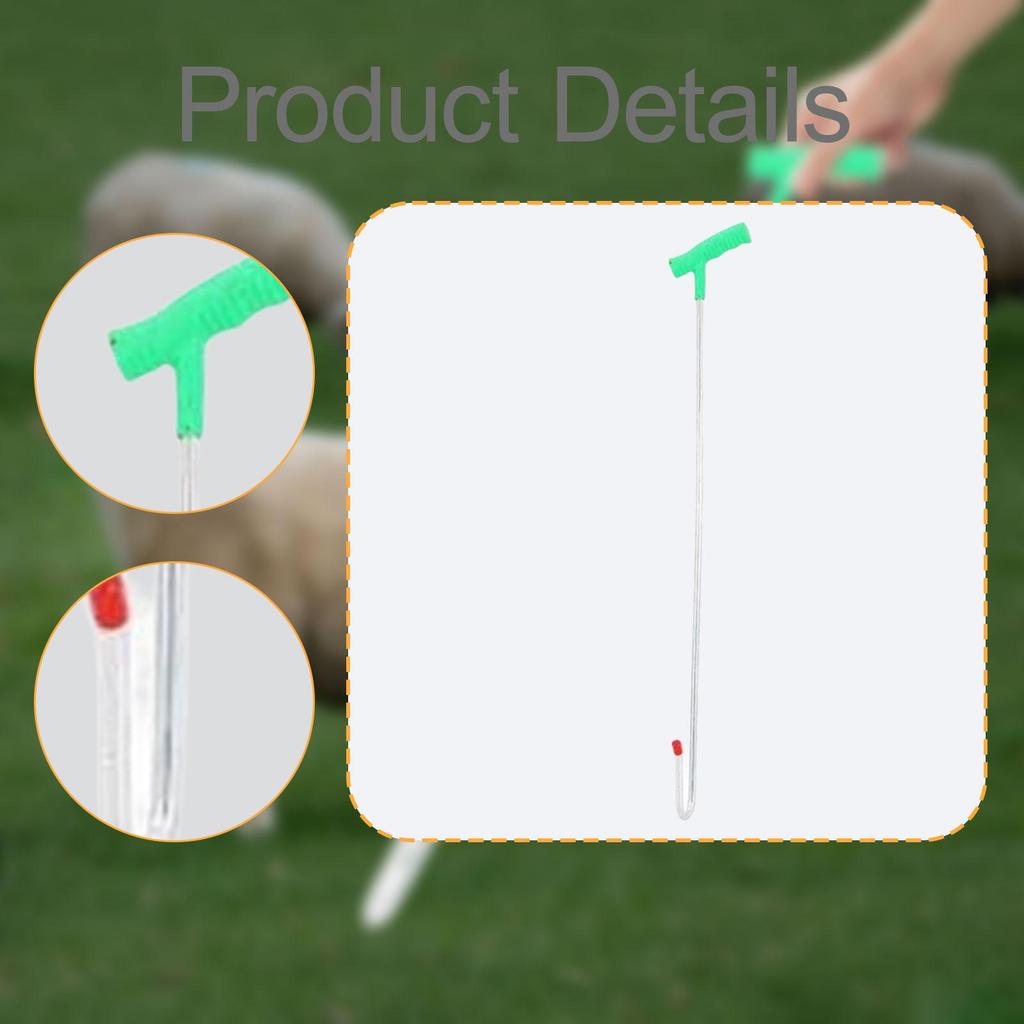 Leg Crook Catching Tool Goat Grabber Sheep Holder Catcher Hook 50cm