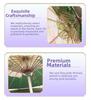Accesorii – Umbrele