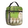 Meowl Katze Eule Meme Isolierte Lunchtasche Lebensmittelbehälter Tragbarer Kühler Thermische Bento-Box Für Reisen