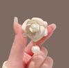 Lapel Pin Fixed Clothes Pins Sweater Coat Clothing Accessories Brooch Fashion Cute Bowknot Brooches for Women Metal Anti-glare
