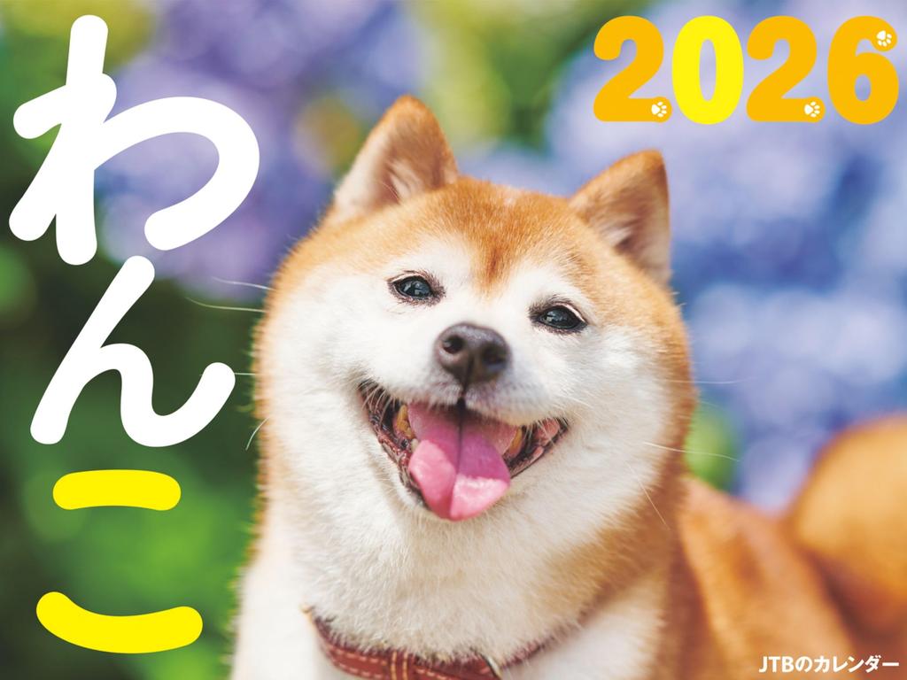 JTB Dog 2026 Calendar (Wall Hanging/Monthly/Dog) (Calendar 2026)