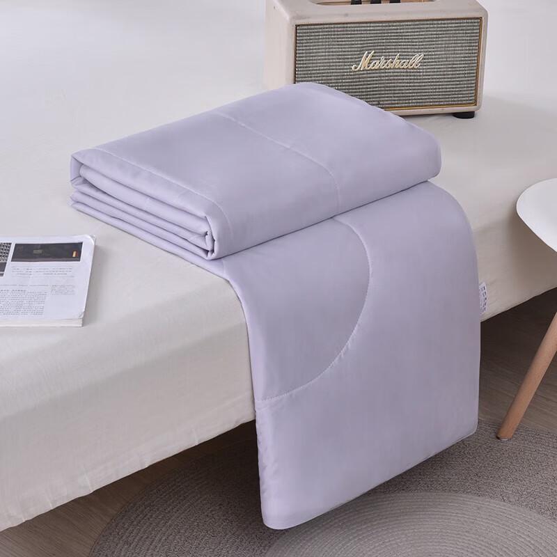 Ice Silk Summer Quilt