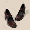 Mary Jane Shoes Women Retro British Style Black High Heels Belt Buckle Thick Heel Square Head Single Shoes Women Fashion Pumps