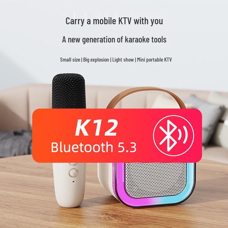 K12 Portable All-in-One Karaoke Bluetooth Speaker with Wireless Microphone