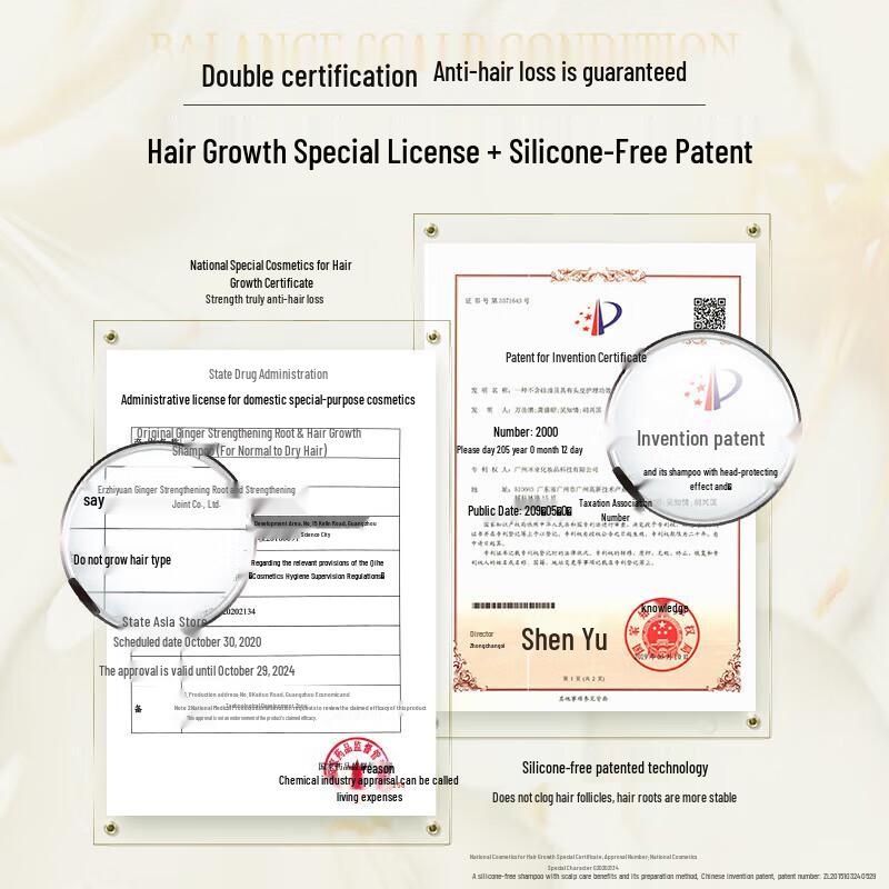 Ziyuan Ginger Strong Root Healthy Hair Shampoo Value Pack