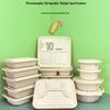 Greenspring 1000ml 5-Compartment Biodegradable Lunch Boxes with Lids