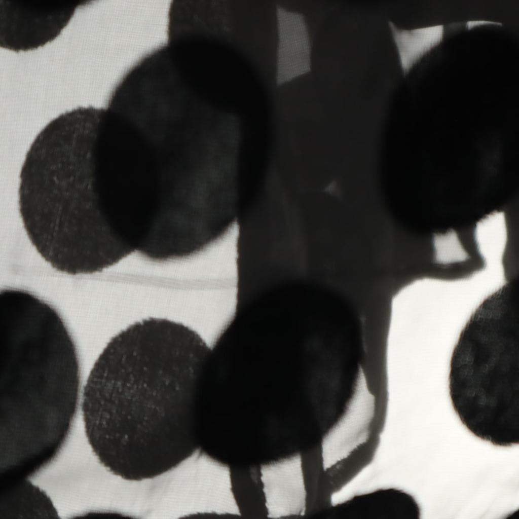 CLANE Dot Pattern Long Sleeve Sheer Long Dress 1 Black Polka Dot Women Used