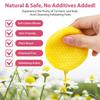 Turmeric Kojic Acid Exfoliating Sponge Cleansing Pad - Hot Skincare Seller