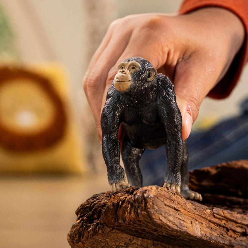Schleich Wildlife Chimpanzee Ages Realistic Animal Toy 14883 Figure, 3+,