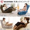 IRIS OHYAMA ZC-9, 2-Way Soft Floor Chair with Pillow, Compact and Foldable (Steel, Urethane Foam, Polyester), Beige