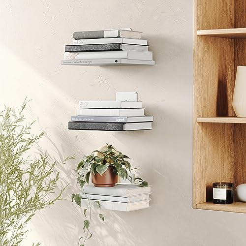 Umbra Wall-Mounted Storage Shelf, Silver, Large, CONCEAL, 21005073560, Pack of 3