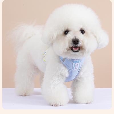 Cani – Collari e guinzagli per cani