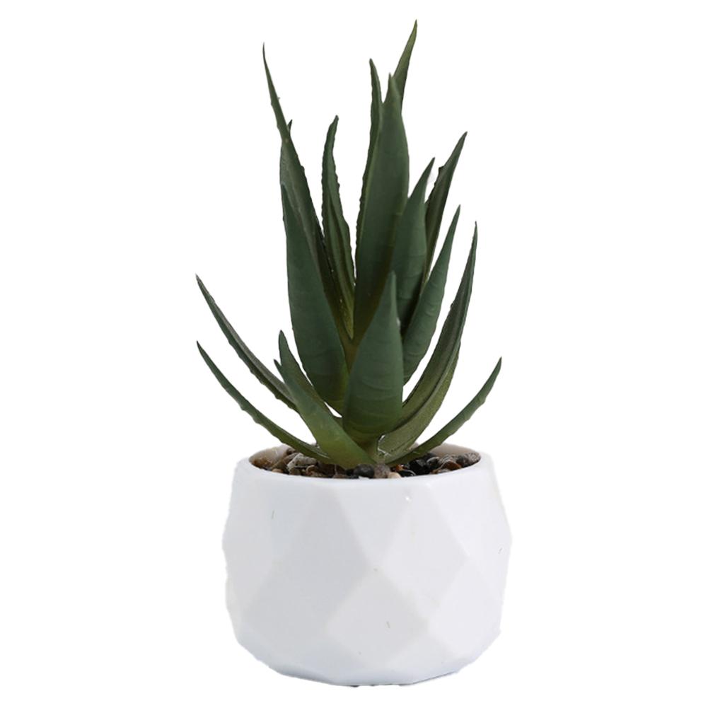 Beautiful Artificial Plants Set Artificial Succulent Imitation Potted Plants Decorative Flower Pot Desktop Decoration