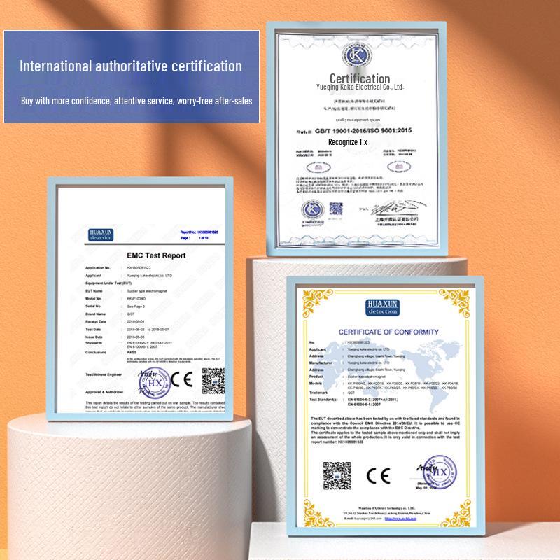 12V/24V/5V DC Strong Round Electromagnet Suction Cup for Industrial Use