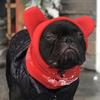 Cozy Solid Color Dog Hat - Cute Fleece Pet Headgear