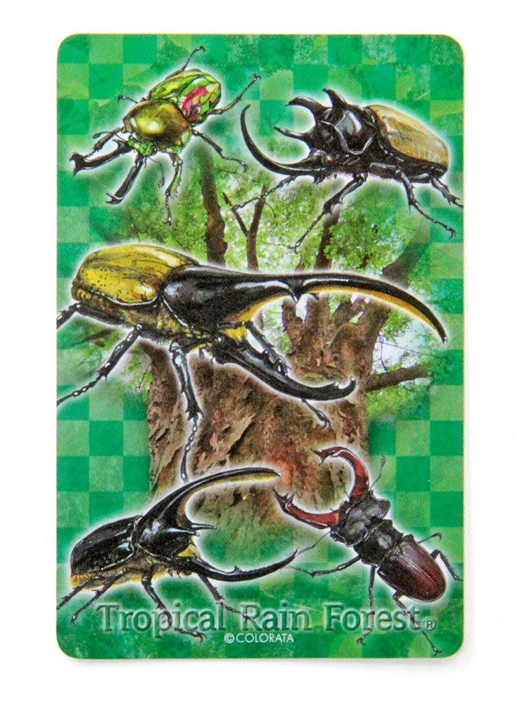 Carolata Real Beetle Hrací karty Jelen Nosorožec Vzdělávací Hrací Ilustrovaný Dárek (Brouk/Kvíz v ceně/Plast) Brouk, Brouk, Hračka, Hračka,