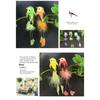 Colorful Simulation Birds with Clip Home Decor Decorative Fake Bird Photography Props Landscape Decoration Birds Model