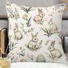 1pc Soft & Comfortable Easter Bunny and Eggs 45.72x45.72cm Throw Pillow Cover - Contemporary Style, Machine Washable Polyester, Zip Closure - Ideal Fo