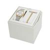 [Skagen] Watch SIGNATUR LILLE SKW3153SET Ladies silver