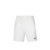 Mizuno Race Shorts Collection Tennis Bottom Men's 62GB2601