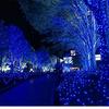Candy88 LED String Lights for Outdoor Use, Waterproof, 10m (100 bulbs), 30m (300 bulbs), 100m (800 bulbs), 8 Lighting Patterns, Memory Function,