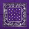 Cotton Paisley Headscarf and Cycling Mask