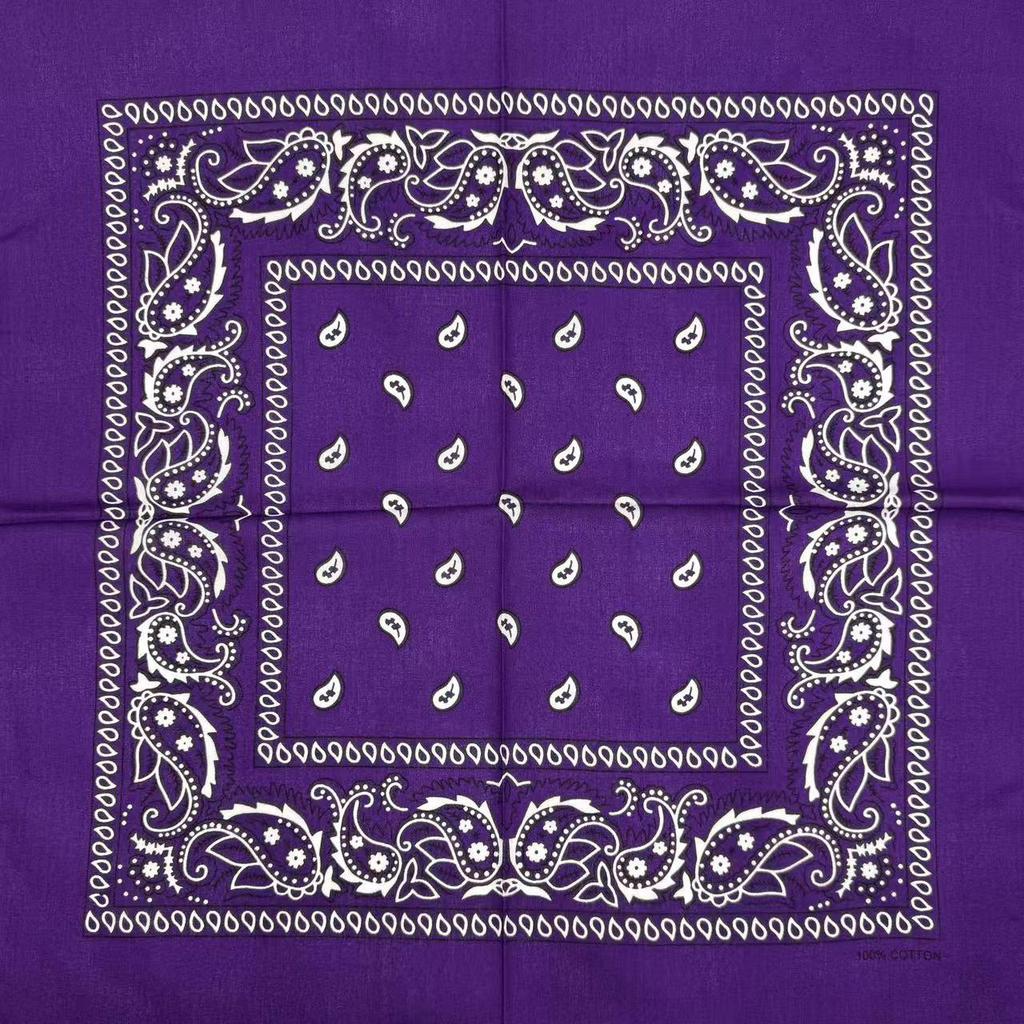 Cotton Paisley Headscarf and Cycling Mask