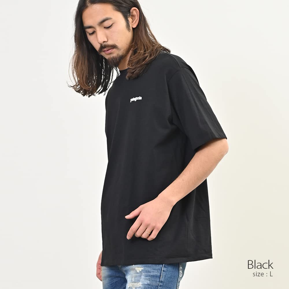 Patagonia Fitz Roy Horizons Short Sleeve Crew Neck with Back Size Black Men's Responsibili-Tee 38501, T-Shirt Print, Medium, [Used]