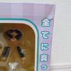 [USED] Kimi ni Todoke Sawako Kuronuma Nendoroid Figure Good Smile Company