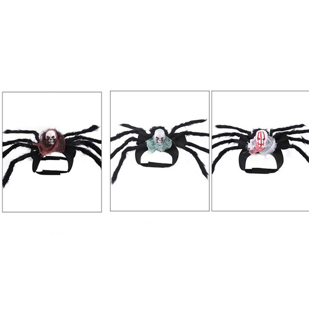Cat SpiderCostume Photography Outfit Small Medium Dog Halloween Novelty Costume