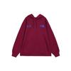 KAWS X THE NORTH FACE Popover Hoodie NF0A7WLI-GP5