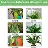 Liquid Plant Fertilizer 100ml Gentle Indoor Plant Food Houseplant Fertilizer Gardening Supplies Bloom Booster Fertilizer Orchid