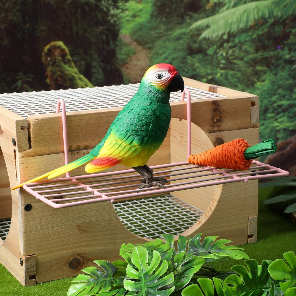 1Pcs Bird Perch Cage Shelf Iron Frame Sturdy Hanging Hooks Wall Display Small Parrot Shelf Cage Accessories Bird Playstand