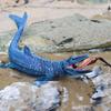 Oenux New Sealife Animals Model Prehistoric Mosasaurus Liopleurodon Kronosaurus Action Figures Solid PVC Collection Toy Kid Gift