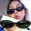 1/2Pcs Small Oval Sunglasses for Women New Fashion Vintage Leopard Brown Sun Glasses Girls Outdoor UV400 UV Protection Eyewears