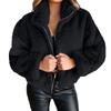 Women's Fashion Winter Solid Color Zipper Cardigan Plush Warm Short Jacket Coat