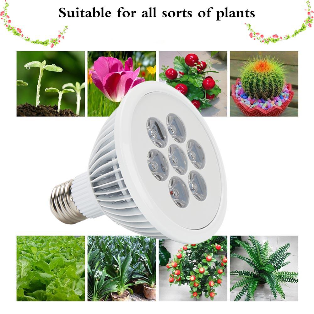 Full Spectrum LED Grow Light E27, 21W/36W for Indoor Plants