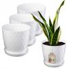 KADAX 3x Pot 16cm Cover + White Saucer